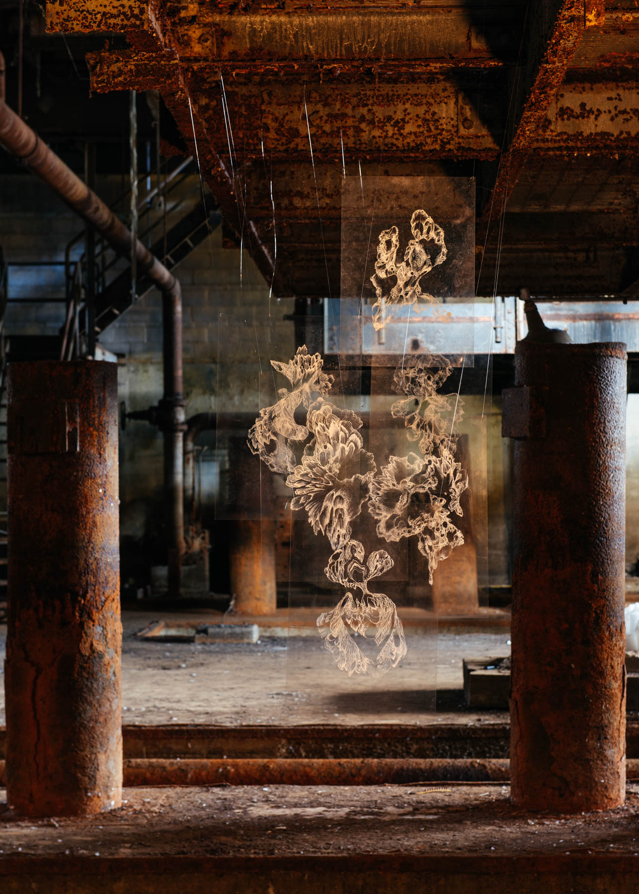 Zeitgenössisches Kunstwerk TRANSPARENCIES von Viktoria Strecker, Ansicht 1