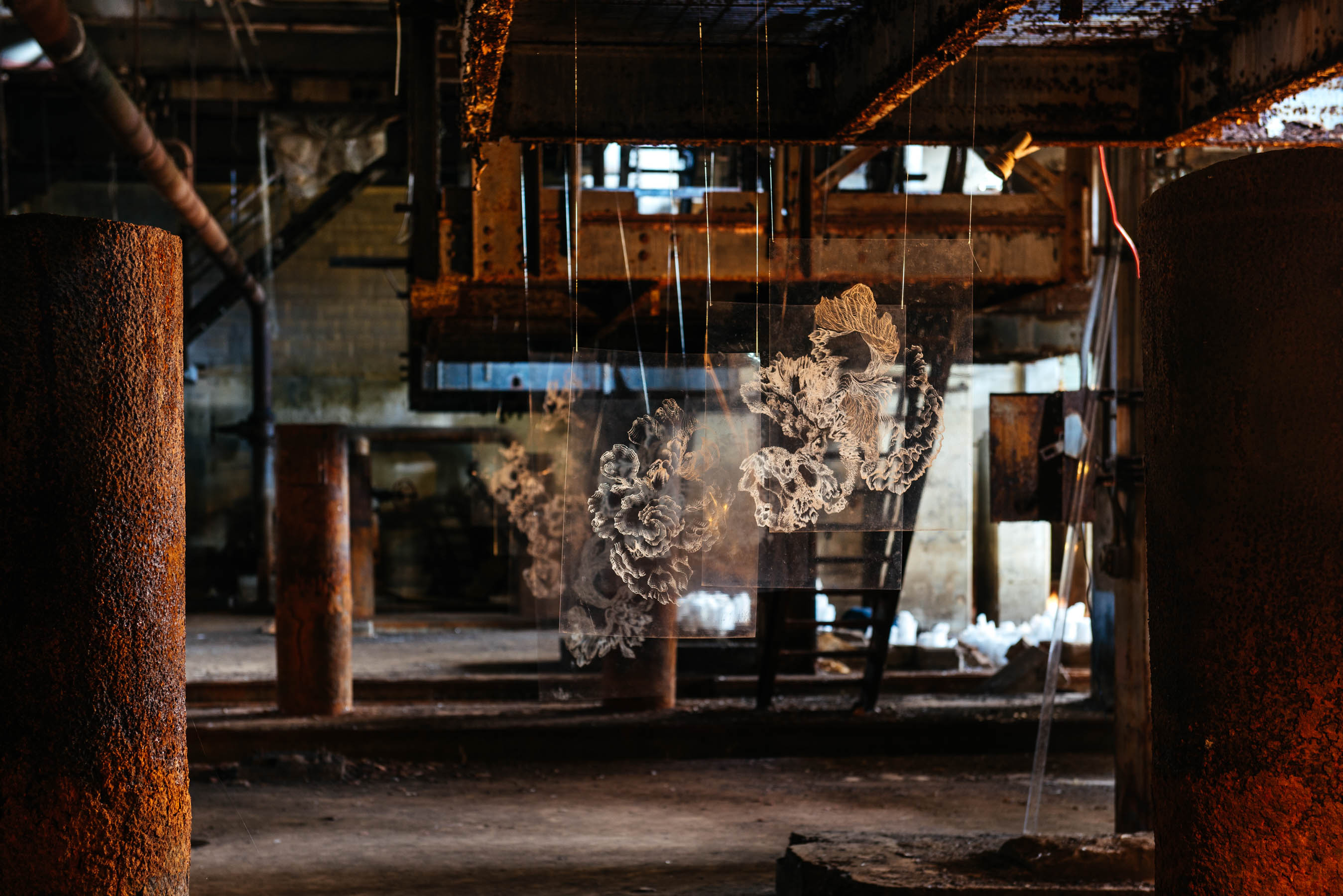 Zeitgenössisches Kunstwerk TRANSPARENCIES von Viktoria Strecker, Ansicht 2