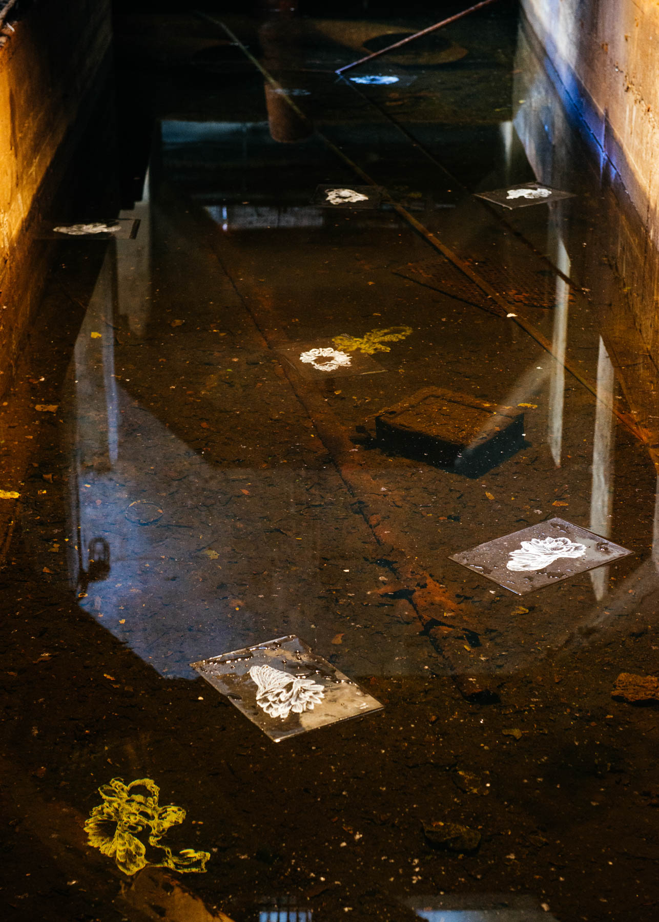 Zeitgenössisches Kunstwerk TRANSPARENCIES von Viktoria Strecker, Ansicht 3