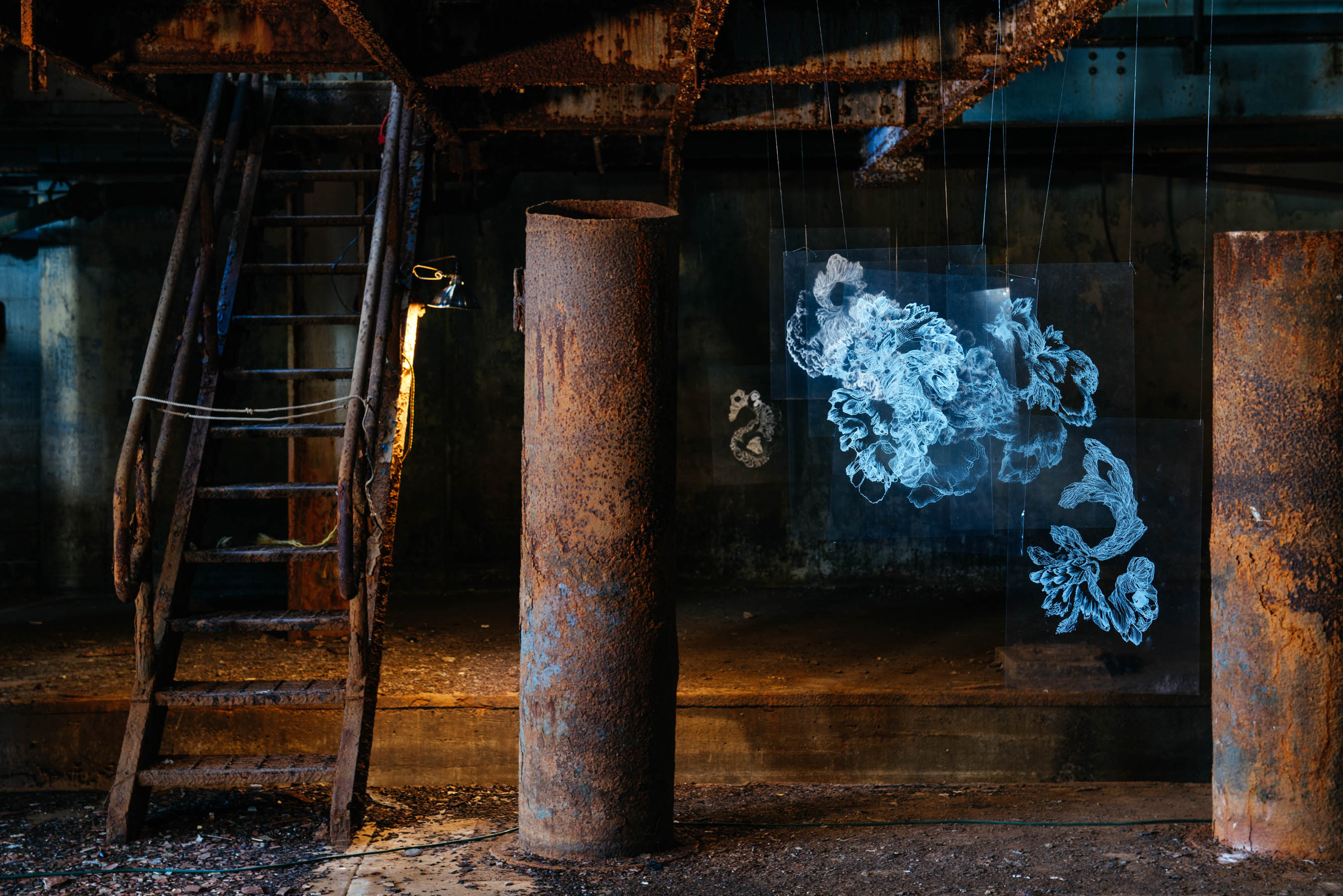 Zeitgenössisches Kunstwerk TRANSPARENCIES von Viktoria Strecker, Ansicht 4