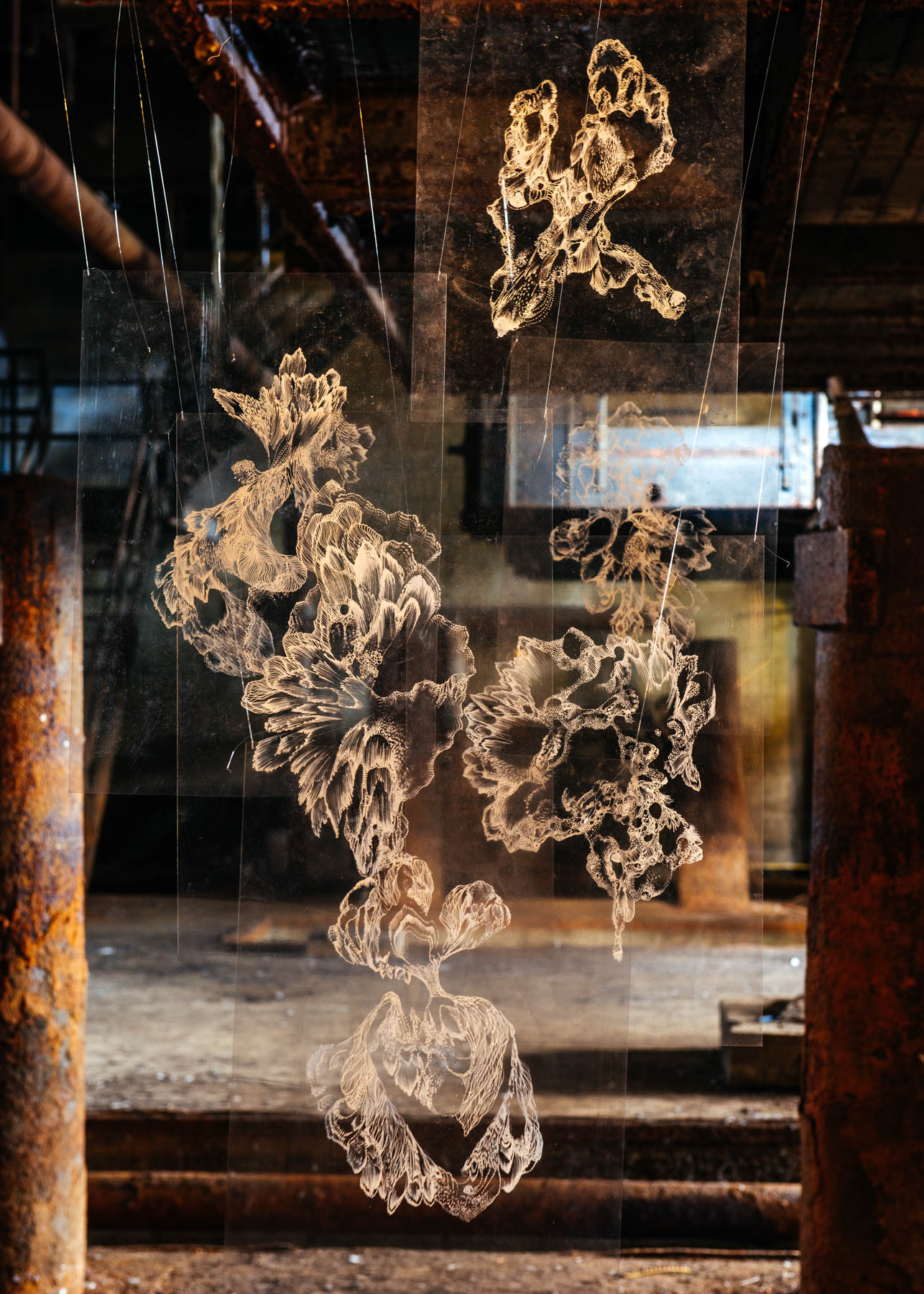 Zeitgenössisches Kunstwerk TRANSPARENCIES von Viktoria Strecker, Ansicht 6